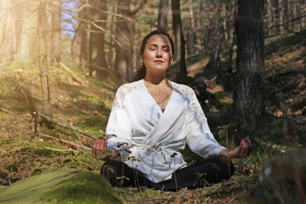 forest bathing