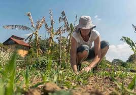 5 Simple Steps to Start Mindful Gardening for Inner Peace