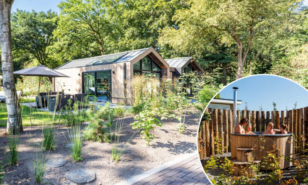 eco homes for wellness