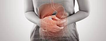 Understanding Gut Health: The Importance of Gut Health for Overall Well-Being