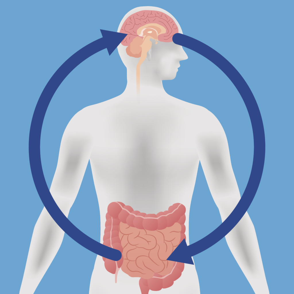 gut-brain connection, with arrows illustrating the communication between the brain and the gut. This represents how digestive health influences mood and mental well-being, Probiotics for mood, Digestive health